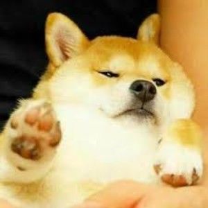 Meet your Posher, Wade